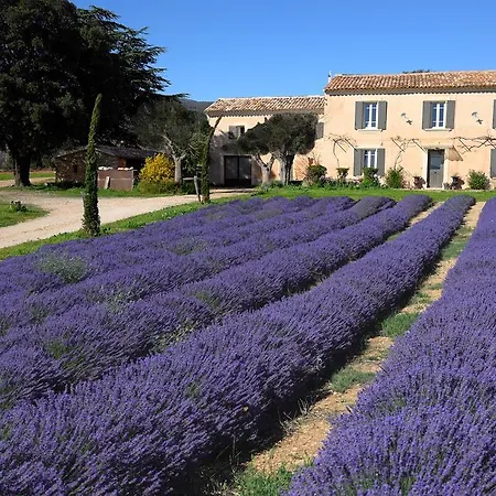 Domaine Jacques